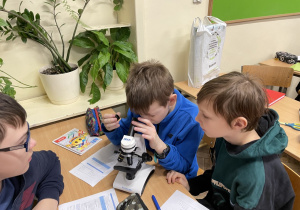 Uczniowie wykonują obserwacje za pomocą mikroskopu.