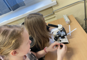 Uczniowie wykonują obserwacje za pomocą mikroskopu.