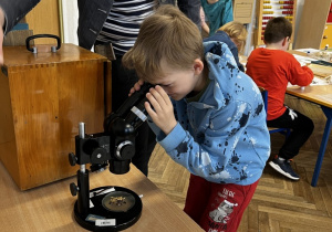Uczniowie oglądają nasiona pod mikroskopem.