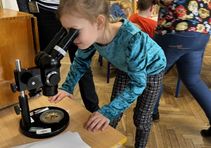 Uczniowie oglądają nasiona pod mikroskopem.