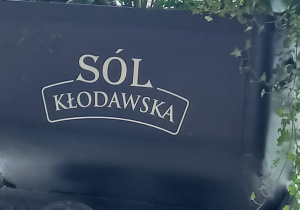 Wagonik z kopalni soli w Kłodawie.