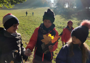 Uczniowie zbierają liście w różnych kolorach.