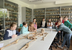 Uczniowie oglądają szkielet człowieka.