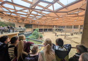Uczniowie obserwują słonie w Orientarium