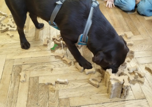 Dzieci w czasie wykonywania zadań i kości dla psa