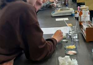 Uczniowie wykonują doświadczenia chemiczne.