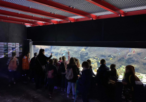Uczniowie oglądają mieszkańców akwarium.