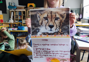 Uczennica prezentuje pracę o gepardach.